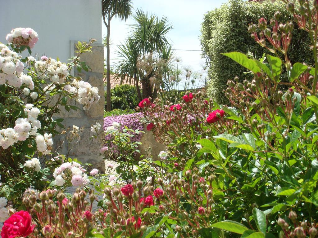 Casa De Hospedes Flor Do Jardim Malveira Esterno foto